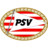 PSV Eindhoven Icon